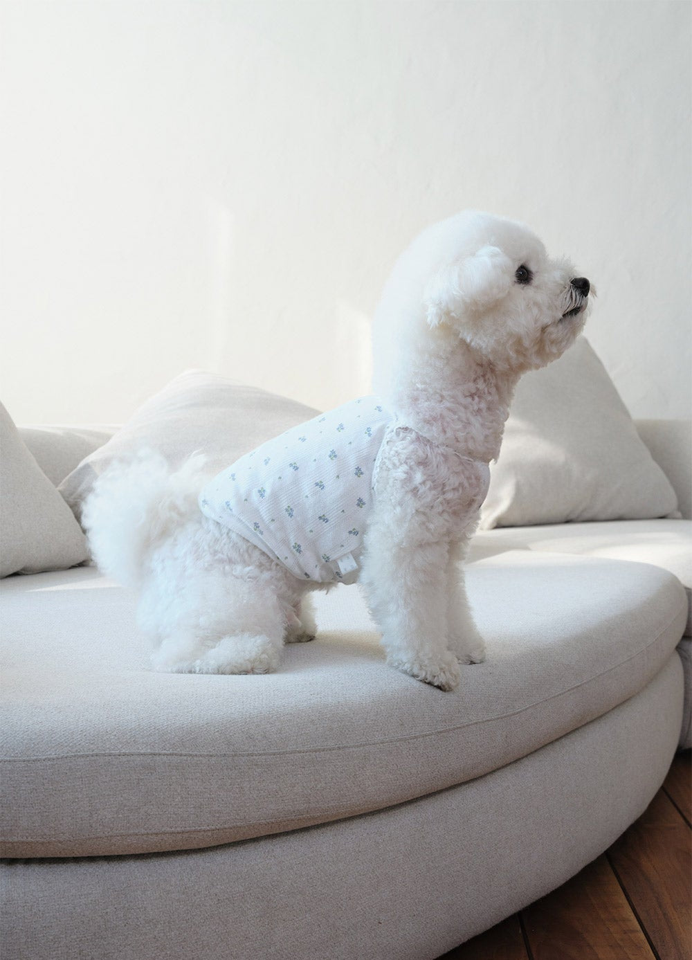 GRVB_FLOWER PUPPY T-SHIRTS