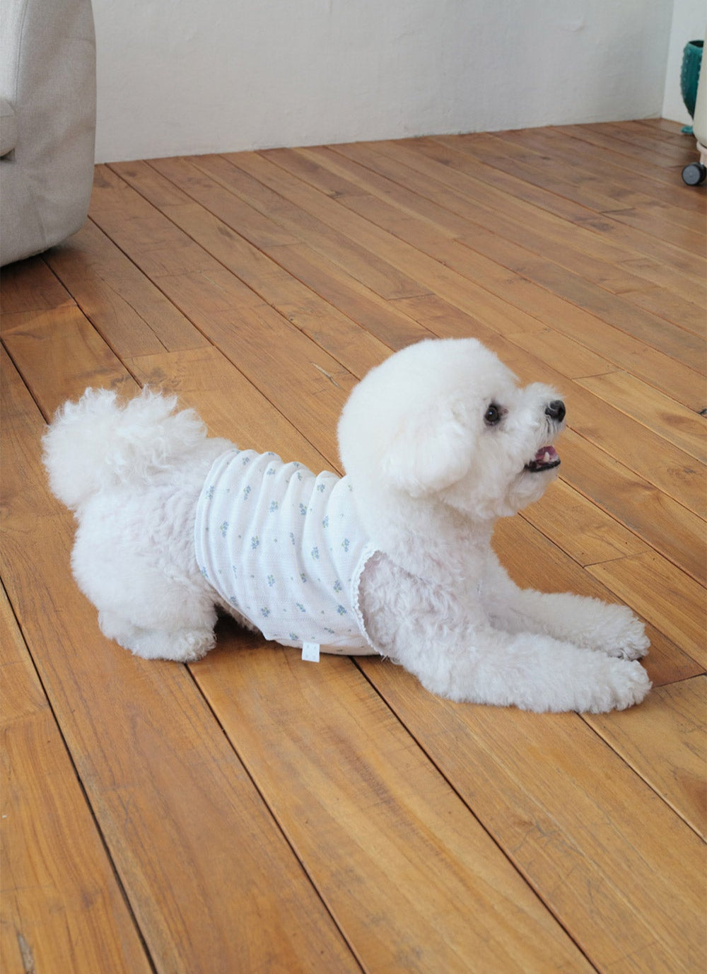GRVB_FLOWER PUPPY T-SHIRTS